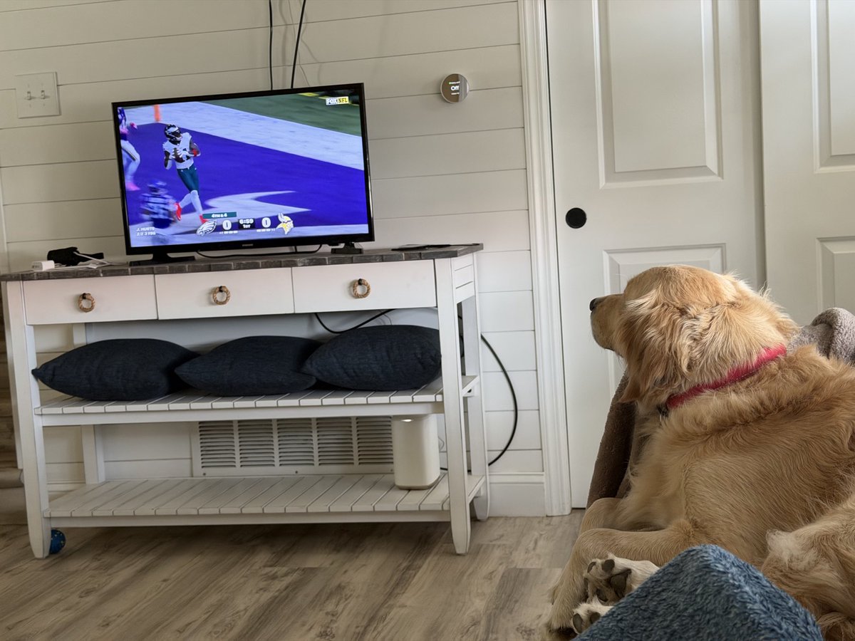 Patty Brogan, DSc tweet media