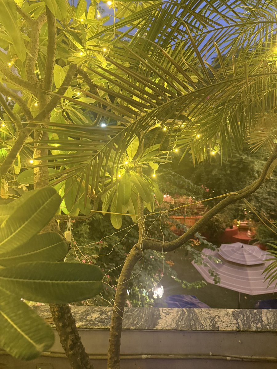 sudhir182's tweet image. Subh Deepawali 🪔