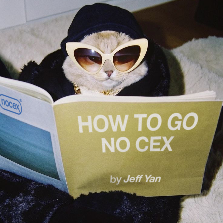 NOCEX® tweet media