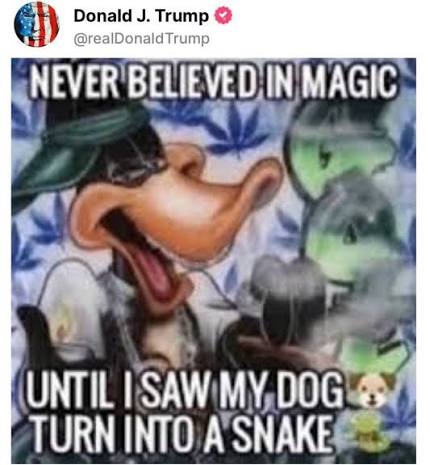 Sammy🇲🇿 tweet media