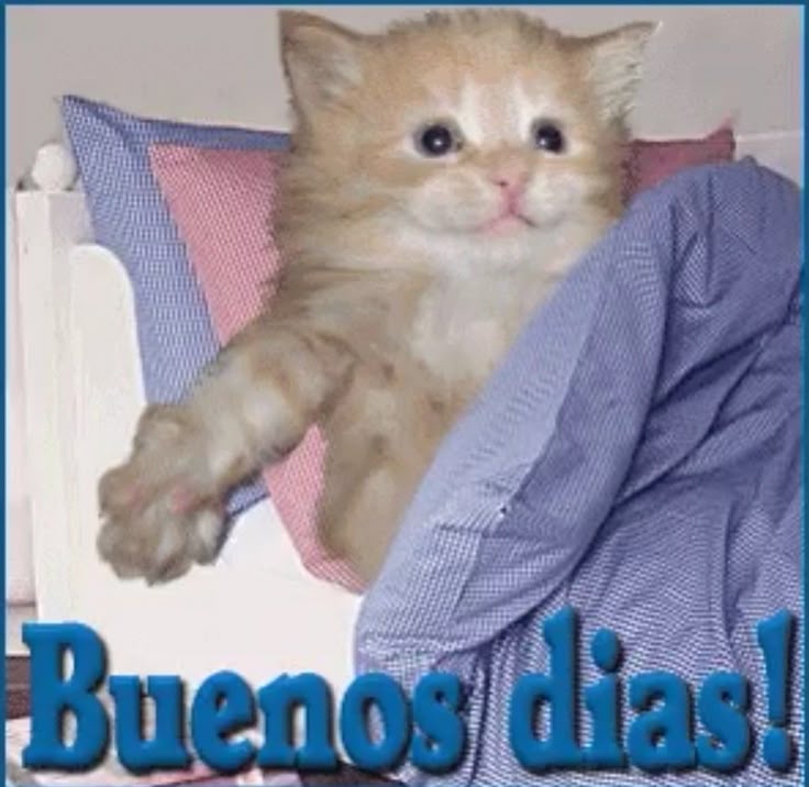 The reason I haven't been able to draw is because I have huge art block and I'm kidnapped by Dunkin Donuts, any recommendations to get rid of Art Block? I really want to draw again...