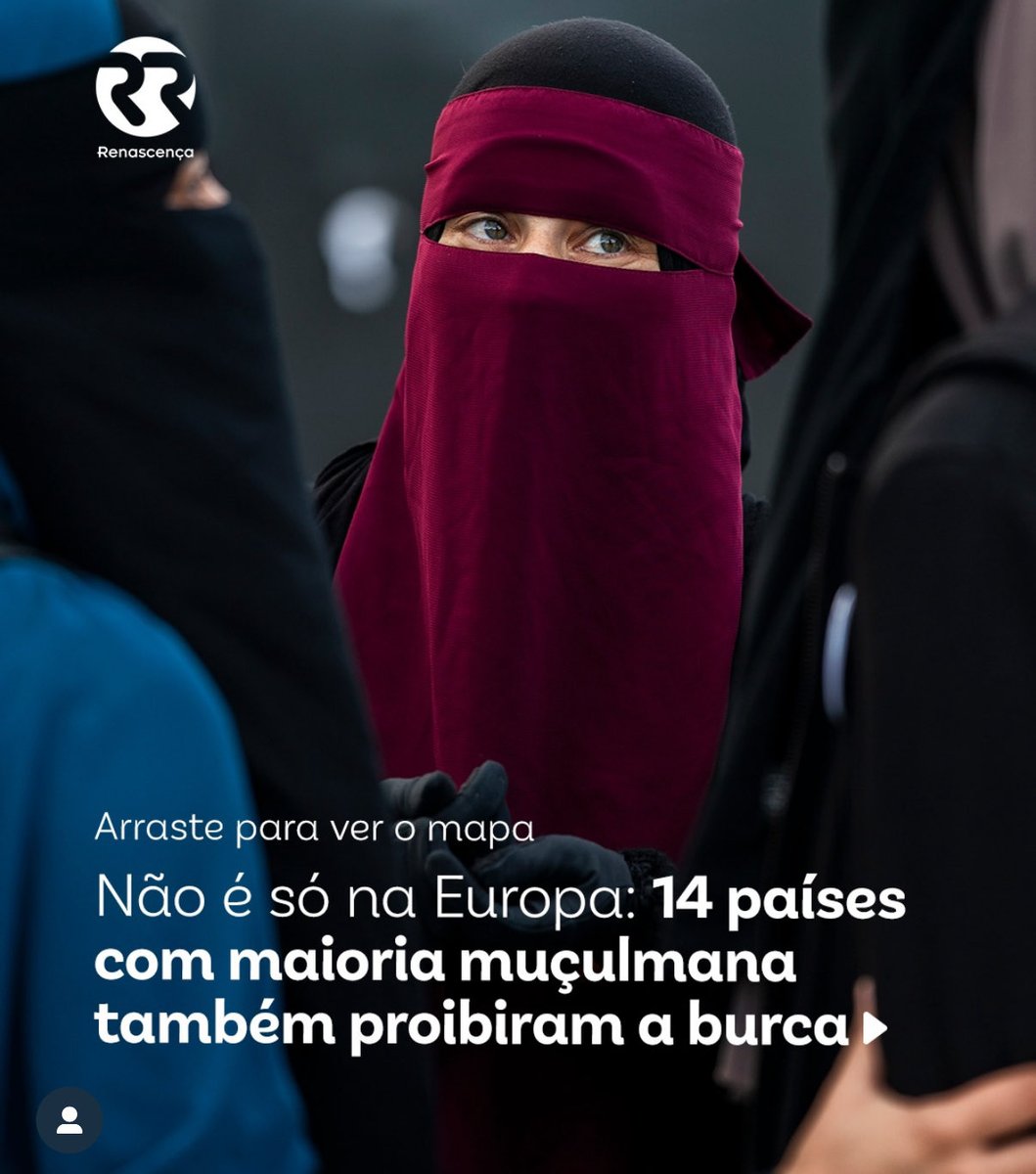 Se pesquisarem, os motivos foram:
- Segurança e Identificação
- Integração social e vivência comum
- Identidade Nacional e Tradição
- Direitos das Mulheres
- Defesa da Secularidade do Estado (em edifícios e instituições públicas)

Burqas e Niqabs