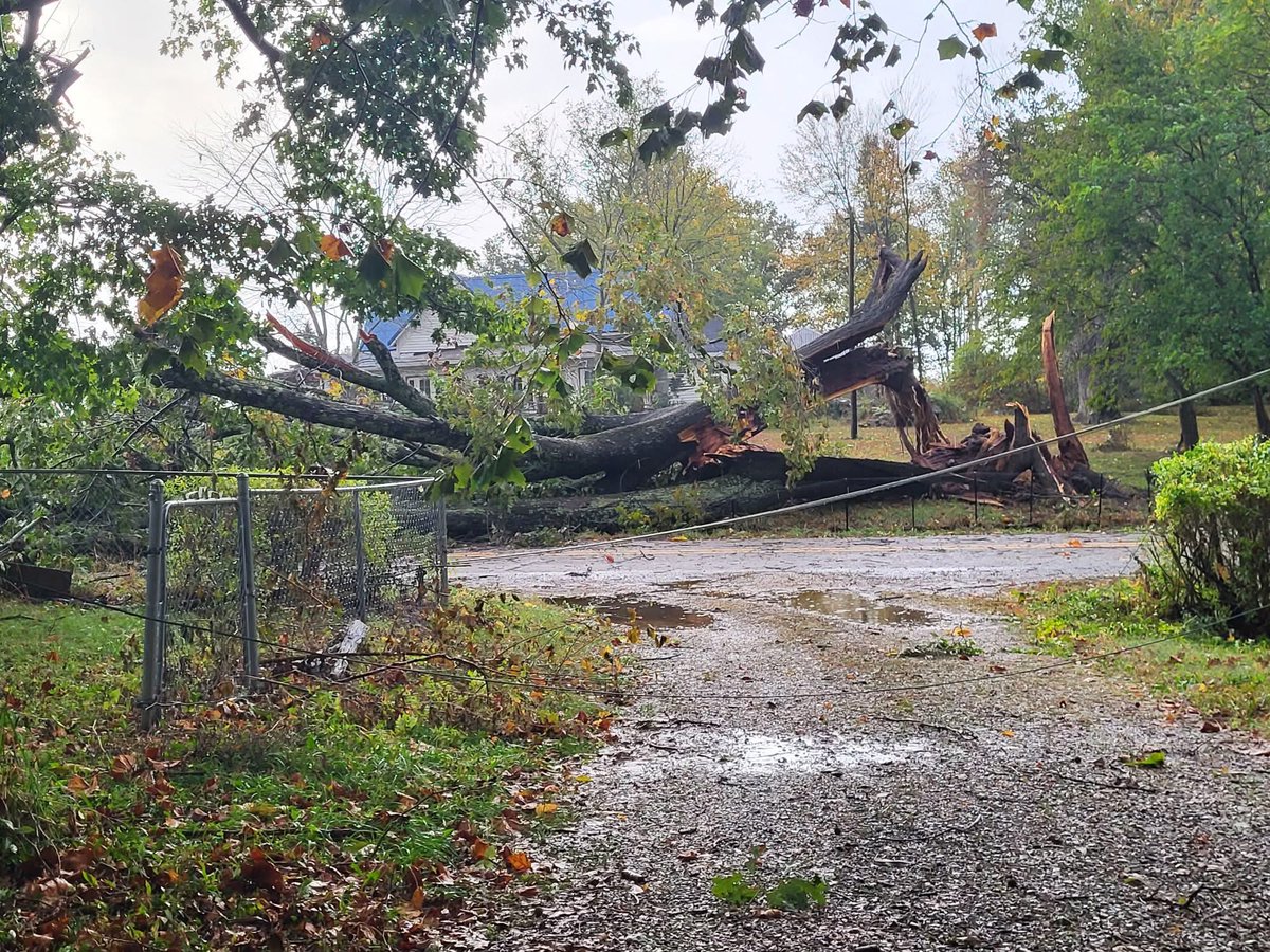 Large tree snapped in Winslow, IN. Power also out in areas of the town. Photo from Cassandra W. <a href="/NWSPaducah/">NWS Paducah, KY</a>