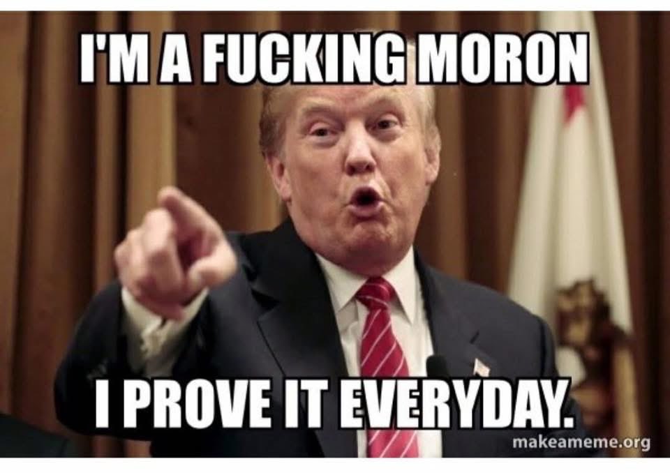 Firedogcooper's tweet photo. @MAGADevilDog https://t.co/XXRQFD4kse