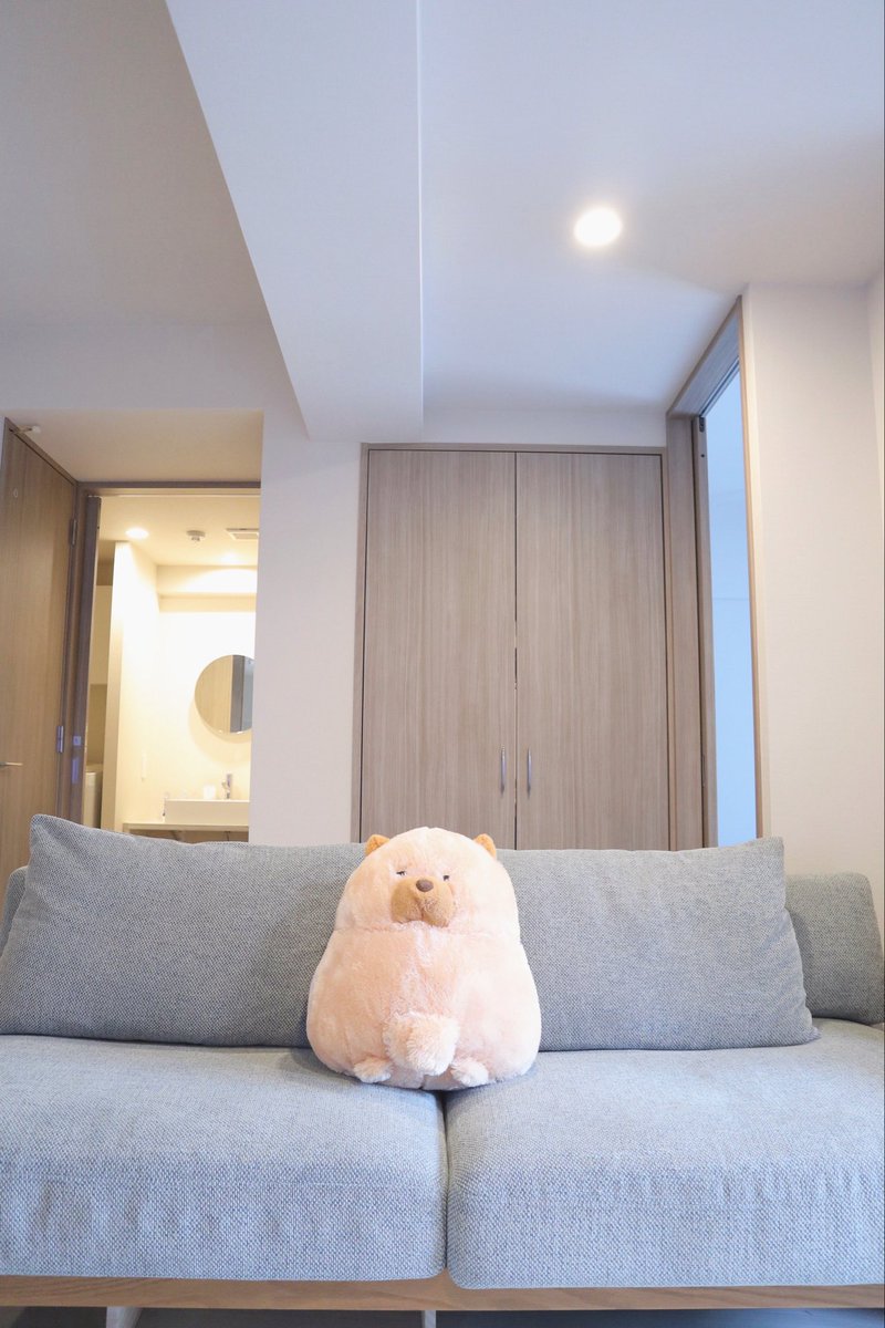 kotubu_chil's tweet image. わが家のソファはチャウチャウが鎮座している🐾