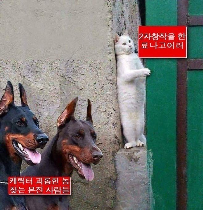 whenyoupushn's tweet photo. https://t.co/j1s2eYmZVa

글 올렸고 이 꼴만 안 났으면 좋겠는 준쟁 https://t.co/sYuEeP7EeV