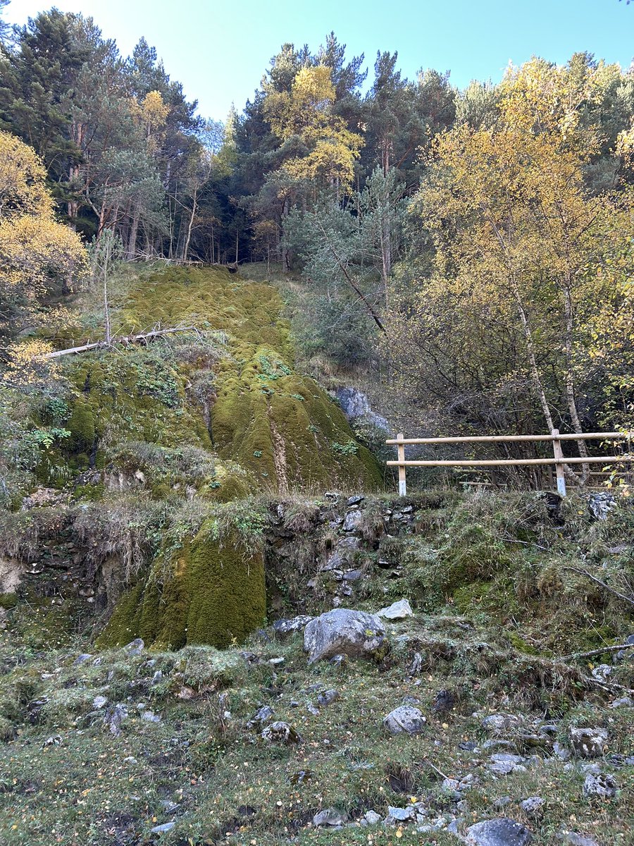 Confident la geologia de la vall de Bonané de la mà d’un expert com en Jaume Comas I en un paisatge espectacular. Una activitat organitzada per l’Associació de persones amigues del Parc Natural de l’Alt Pirineu. <a href="/pnaltpirineu/">Parc Natural de l'Alt Pirineu</a>