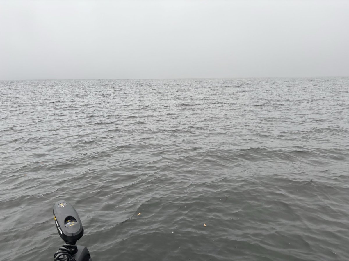 cckbodesw's tweet photo. ようやくエレキ直せたので久しぶりの桧原湖、濃霧でした！小さいの1匹釣れた😌基礎から勉強しなおします。反省 https://t.co/UAy44Eu8Un