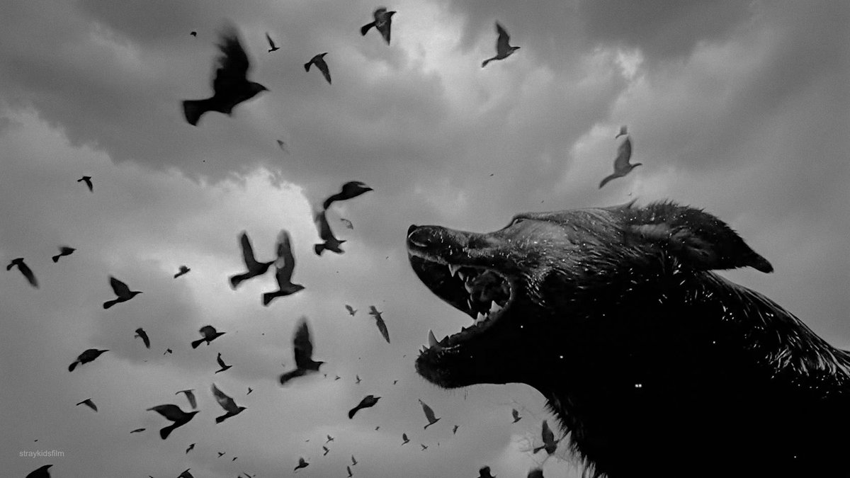 straykidsfilm's tweet image. Stray Kids: DO IT