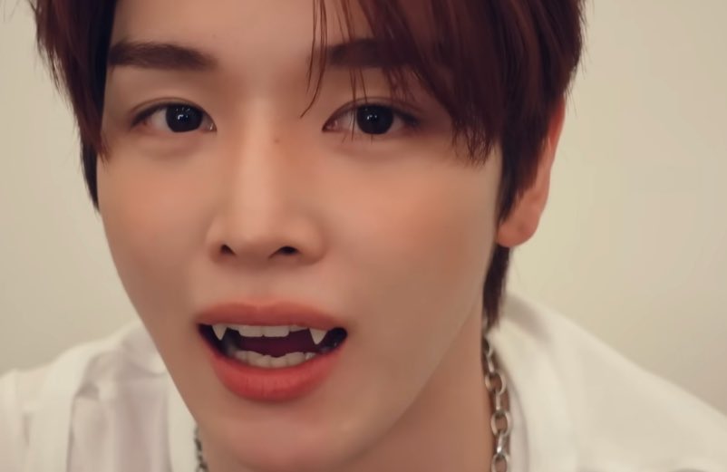 이 바보 진찌 뭐죠?