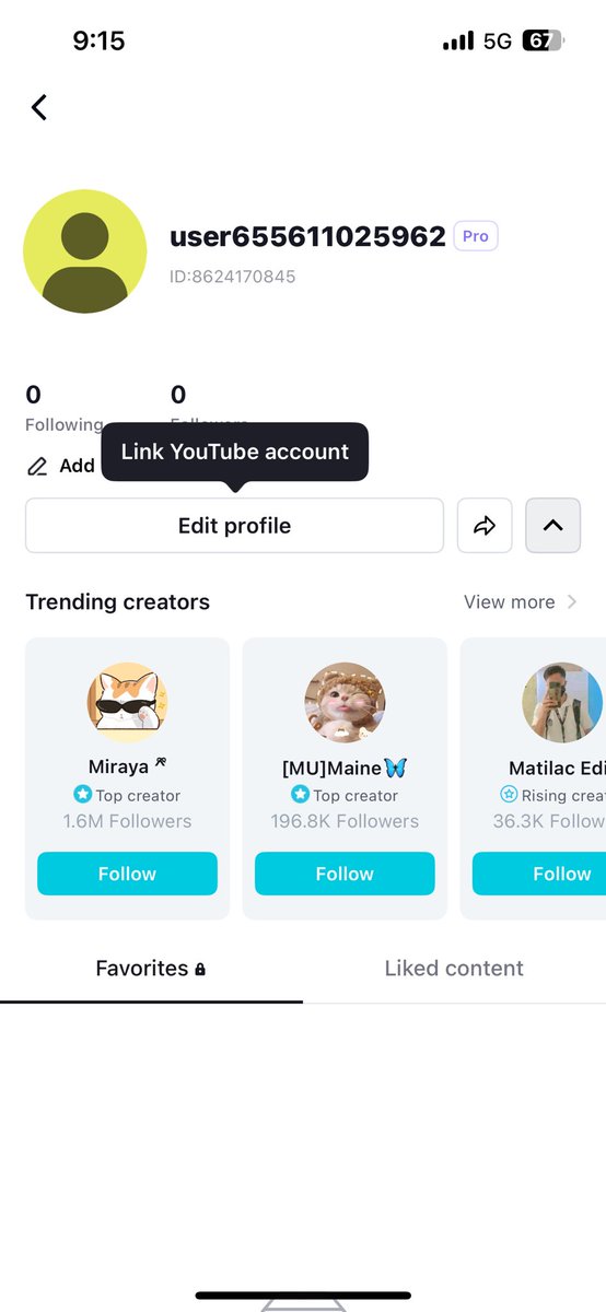 zarsteph tweet media