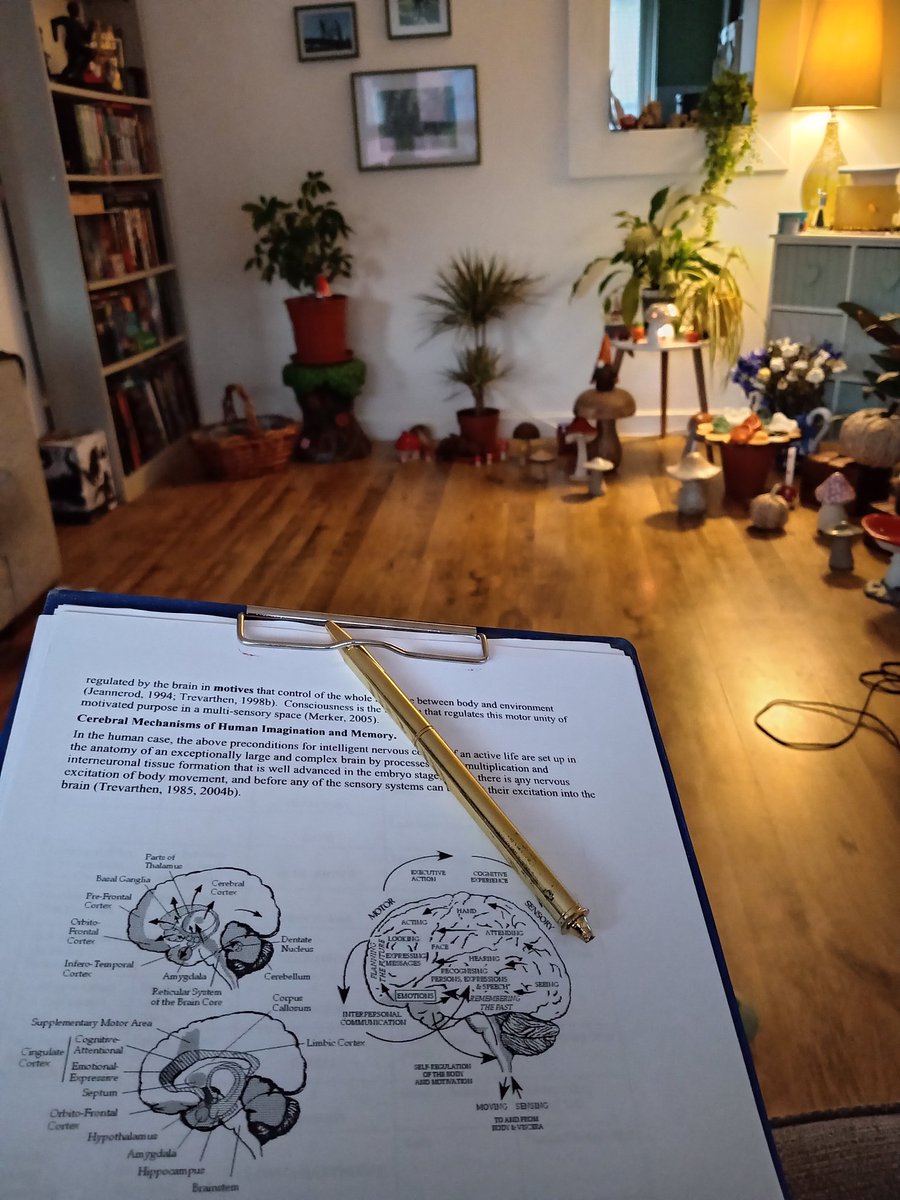 LinziA2's tweet photo. Weekend in pictures - Sharing knowledge, learning and playing. https://t.co/8bnZEMgzh7