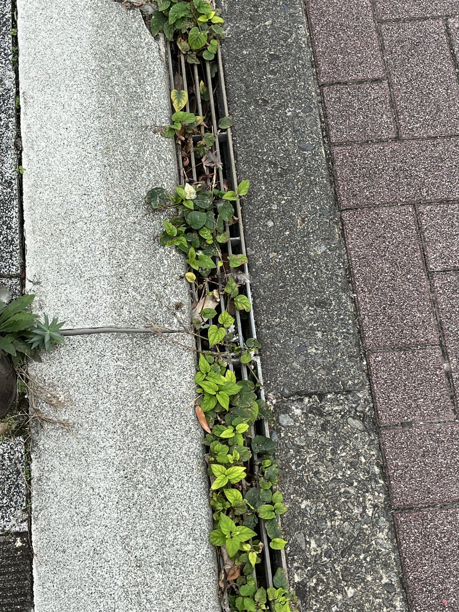 おやすみなさい〜

明日も良い一日となりますよう