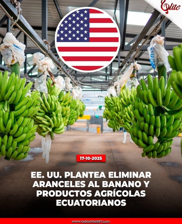 Buenas noticias para el sector bananero ecuatoriano