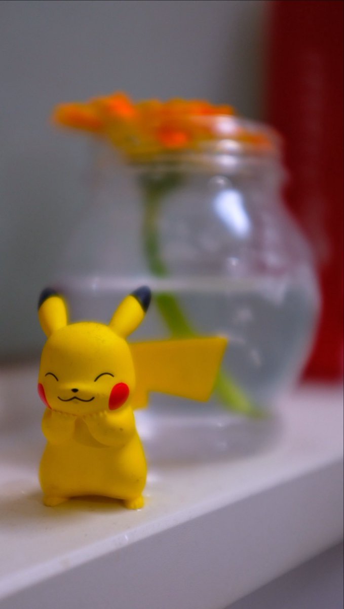 写真のこと知らなすぎたので読んだ！
「デジタル一眼カメラの撮り方 きほんBOOK」

2枚目はガチャガチャでゲットしたピカチュウ⚡️