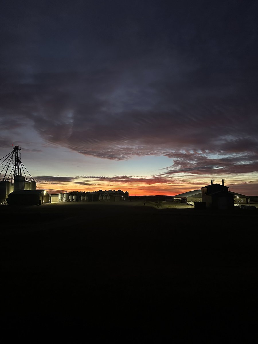 David  T tweet media