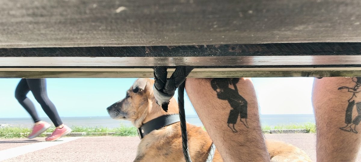 os parafusos sem sucesso (@delamondiola) on Twitter photo 