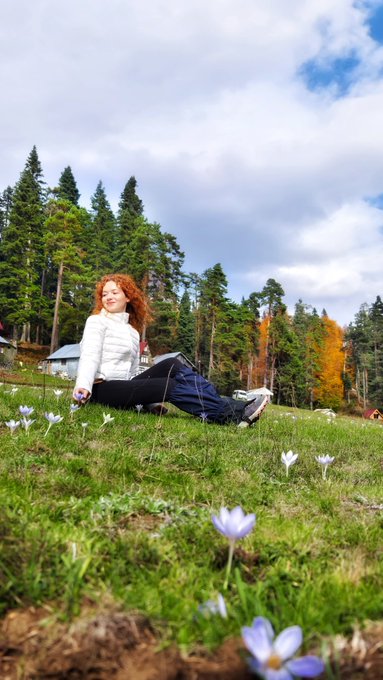 First image shows a woman with red hair sitting on green grass in a meadow holding purple crocus flowers wearing a white long-sleeve top and black pants with white sneakers surrounded by scattered purple flowers and tall pine trees with some autumn foliage under a partly cloudy sky. Second image depicts several wooden cabins including a red-roofed one and gray structures on a grassy field with blooming purple crocus flowers in the foreground bordered by a dirt path and dense pine forest in the background. Third image captures a group of people walking on a dirt path through a green meadow dotted with purple crocus flowers leading toward forested hills with autumn-colored trees and rocky terrain under a partly cloudy sky. Fourth image features tents and people near wooden cabins on a grassy area with purple crocus flowers in the foreground and tall pine trees with autumn leaves under a cloudy sky.