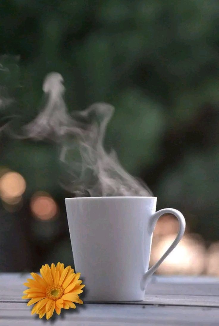 Amanece 🤗 otro día 🫶 otro despertar ❤️ que te llegue el abrazo desde mi #SongoLaMaya ese que va con aroma de #Café ☕️

Que nadie se equivoque: decir «buenos días» ya es hacer literatura. 
Joan Fuster✍️