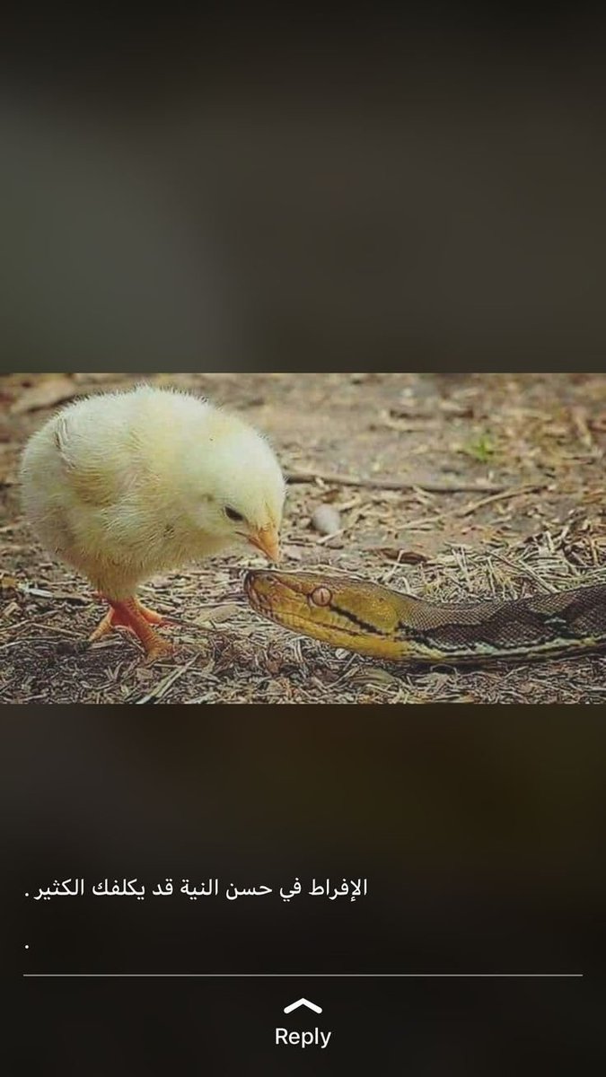 ziad_samarray's tweet image. 