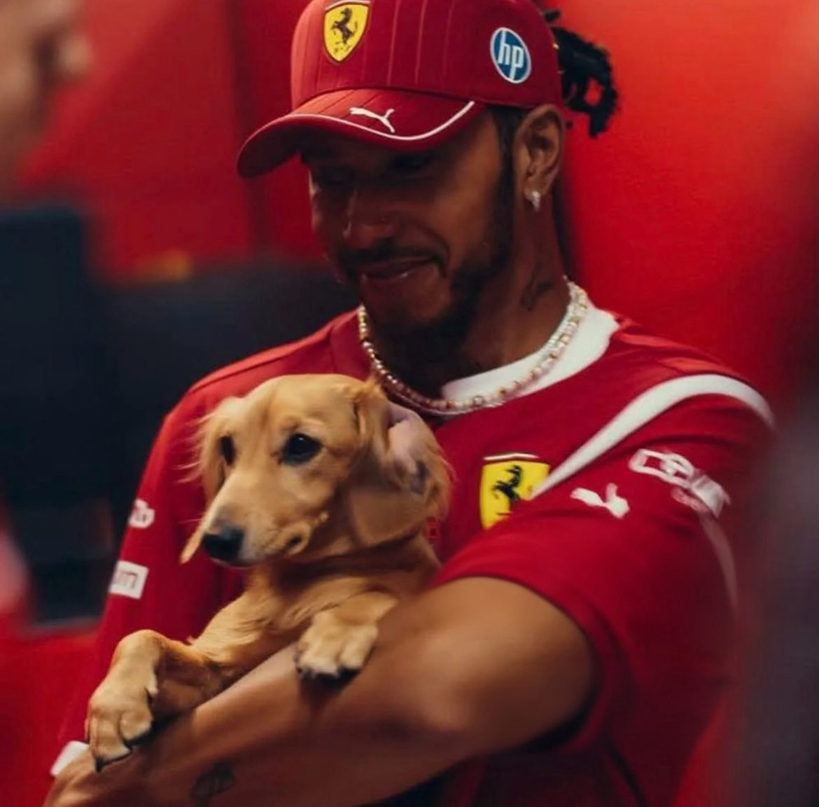 charlewisca's tweet image. AI QUE GRACINHA MEU DEUS ❤️😭