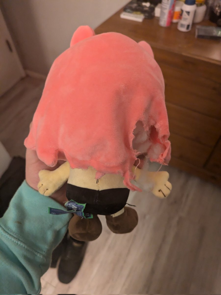 StarOfRuin 🏳️‍⚧️ tweet media