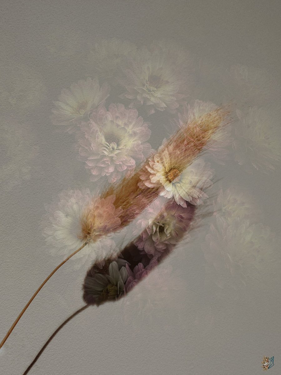 Whisper on the Wind

A daydream and a wish called out into the wind, echoing out to the world…reduced to a whisper.

17 left
5 $XTZ