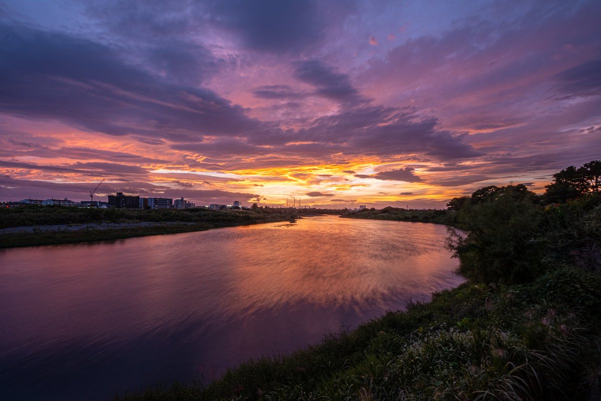 ふぃー (@fii13552890) / Posts / X