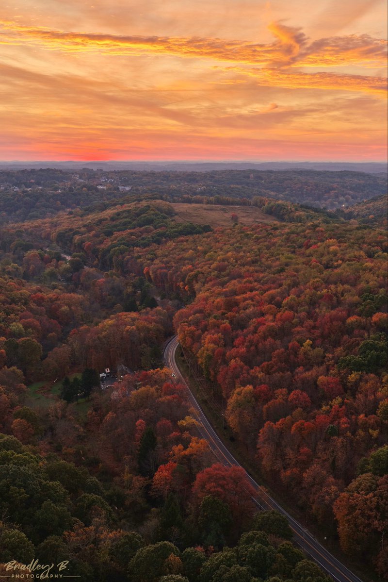 This morning's sunrise, with some amazing color in the sky and in the treetops.