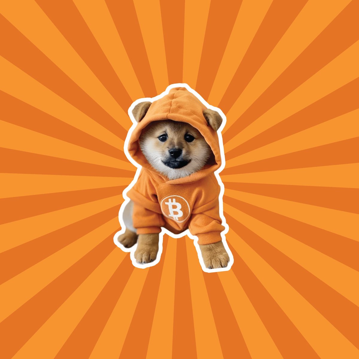 rgalyeon.btc 🧡 $DOG tweet media