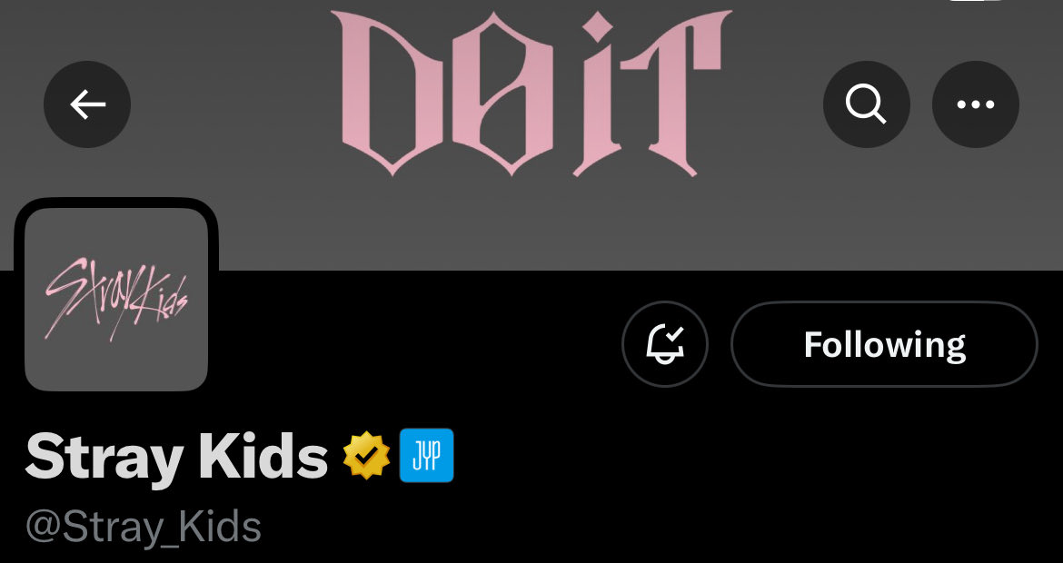 srirachos's tweet image. me: should i kill myself 
the ever humble ever chopped stray kid twitter layout: