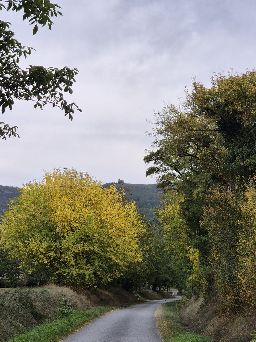 Squal 🇪🇺🇺🇦🇫🇷🏳️‍🌈 tweet media