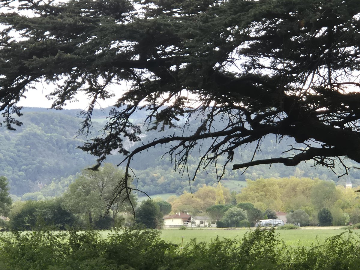 Squal 🇪🇺🇺🇦🇫🇷🏳️‍🌈 tweet media