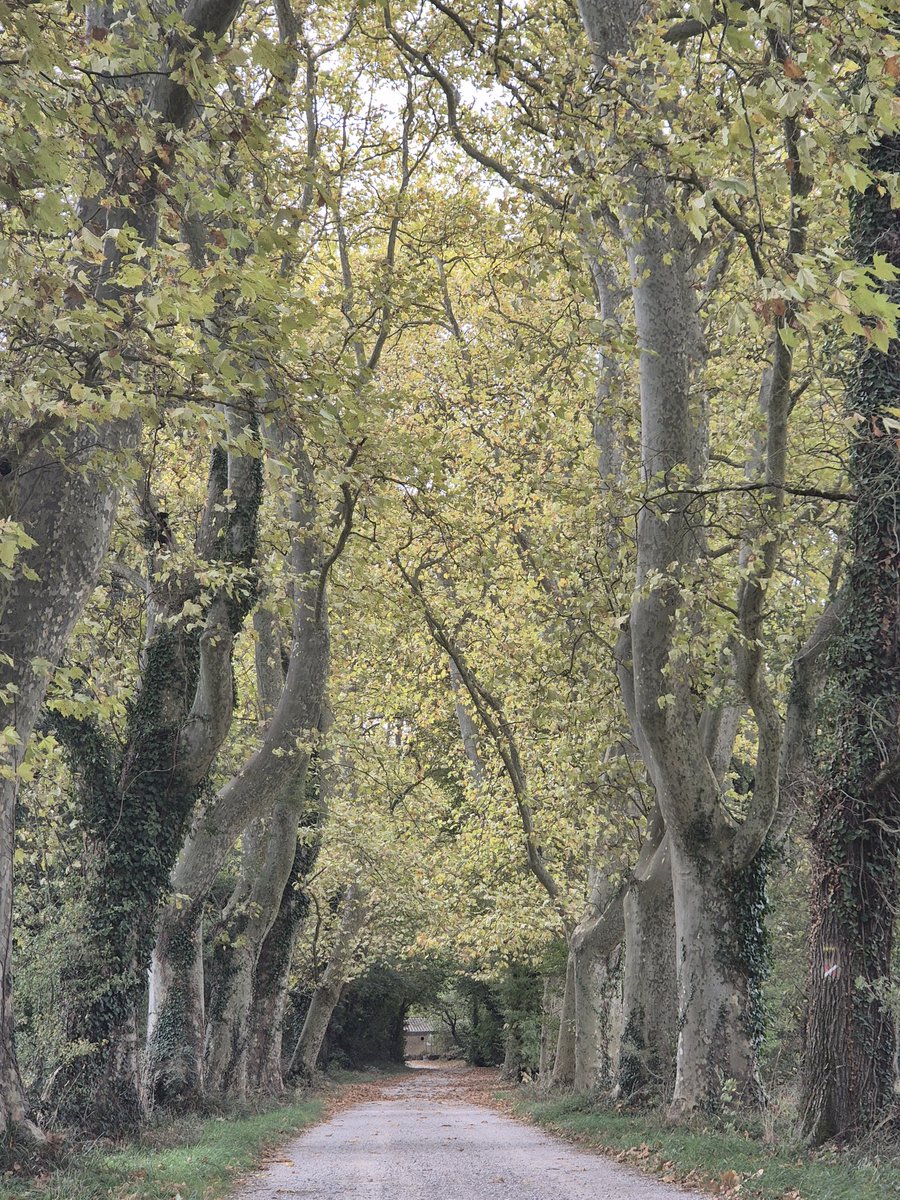 Squal 🇪🇺🇺🇦🇫🇷🏳️‍🌈 tweet media