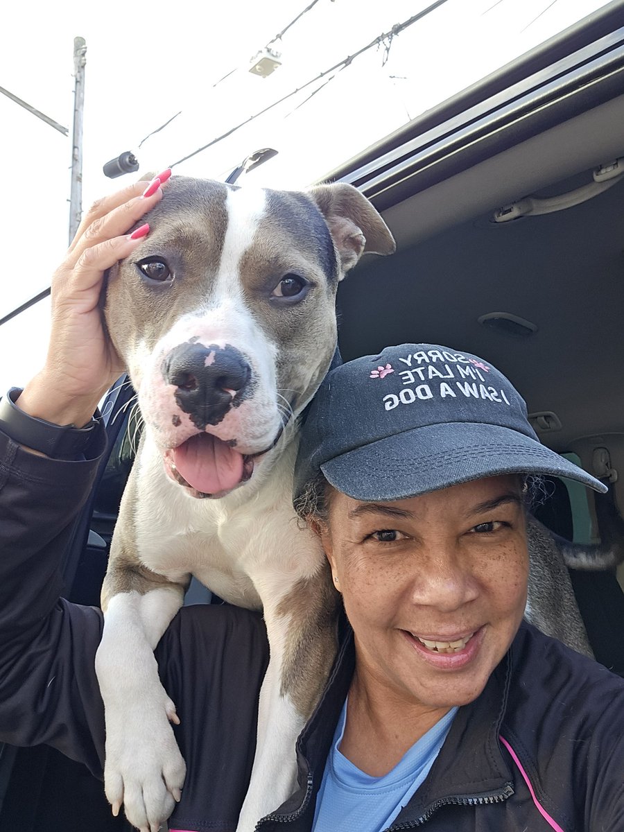 This is my puppy friend, Toby, who is a very energetic pupper. His family speaks to him in Spanish &amp; I speak to him in English; hopefully, he's bilingual &amp; understands commands in both languages. Getting a selfie with him was up there with herding cats. #dogsofX #dogsoftwitter