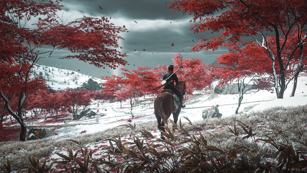 Aiello_VP's tweet image. #GhostofYotei #VPUnityHub #VirtualPhotoTop