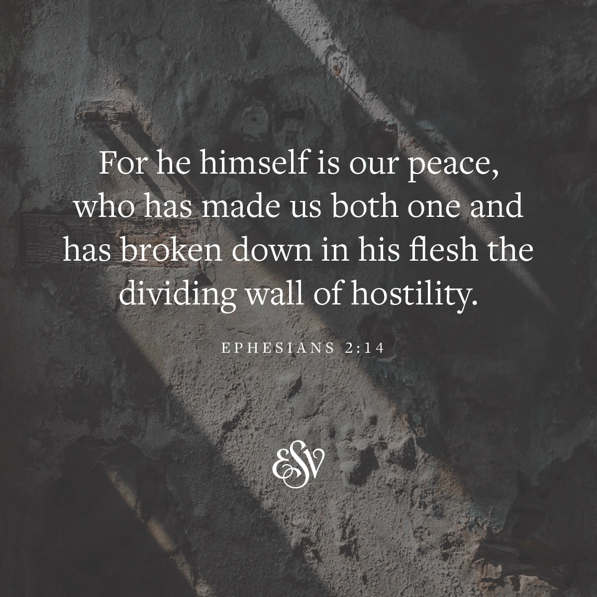 crossway's tweet image. For he himself is our peace, who has made us both one and has broken down in his flesh the dividing wall of hostility.
—Ephesians 2:14 (ESV)
#ESV #Bible #Scripture #Verseoftheday #ESVTranslation #BibleVerse