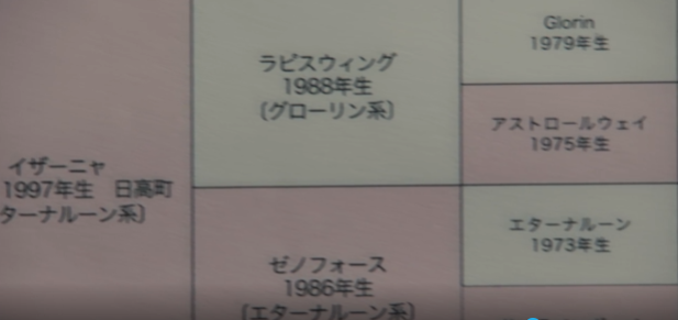 BusaCoin's tweet photo. イザーニャはラピスウィング産駒だが、エターナルーン系。 https://t.co/oKogDHs3sF