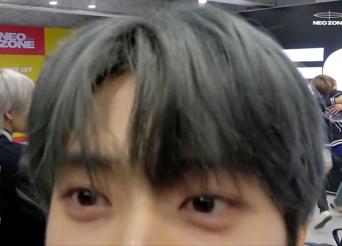 전지적 펫캠 시점