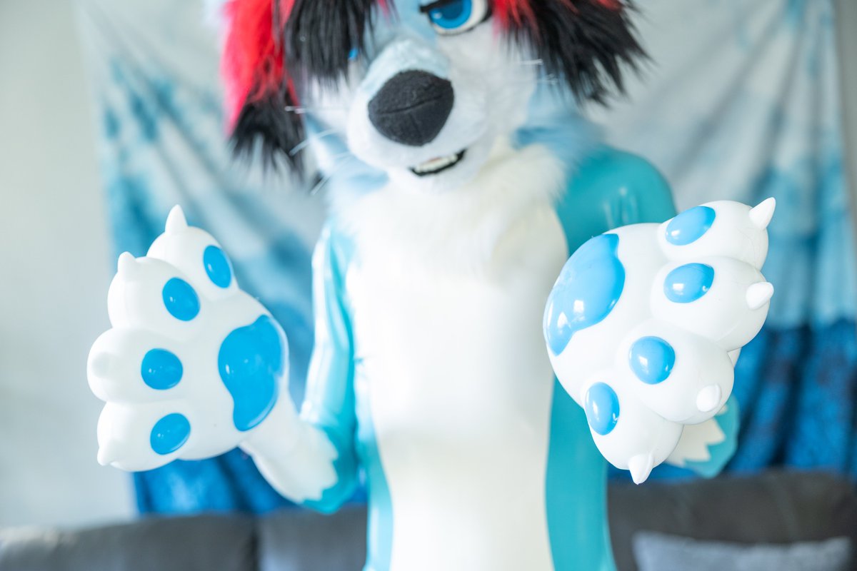 Want me to smoosh your face with these pawbs? >:3

(Paws from <a href="/pumpld/">Pumpland</a>!)