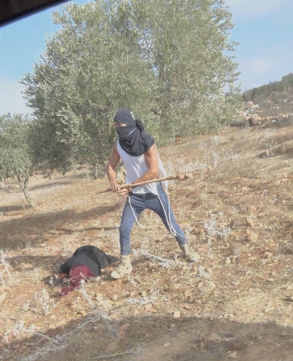 Etanetan23's tweet image. A settler beats a Palestinian woman unconscious these are the emissaries of the government terrorizing vulnerable populations to make them flee. Modern day Cossacks with backing of the IDF. 
Gaza will never be resolved without dismantling this system of violence and apartheid.
