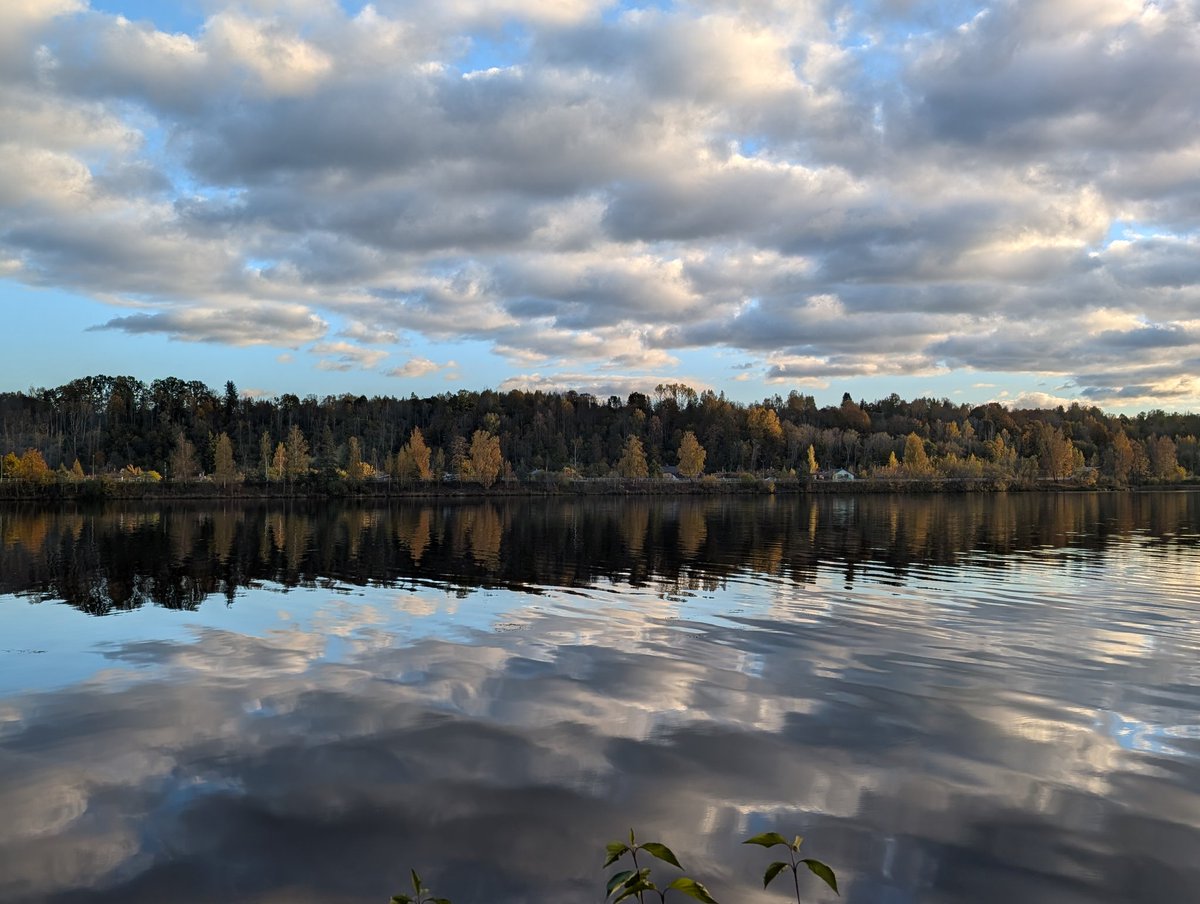 Skrīveru dendroloģiskais parks