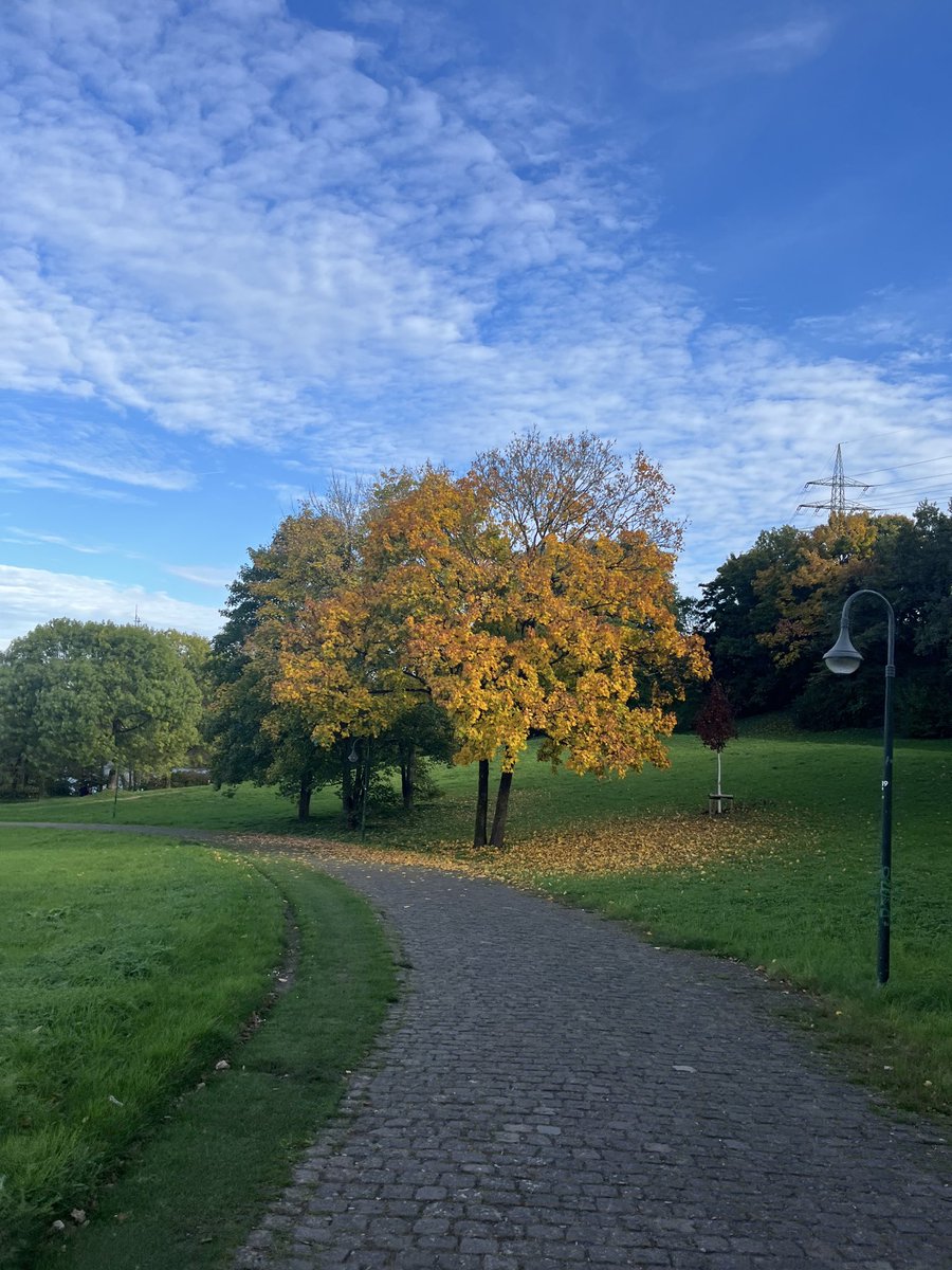 developer_oz's tweet image. پادشاه فصل ها پاییز