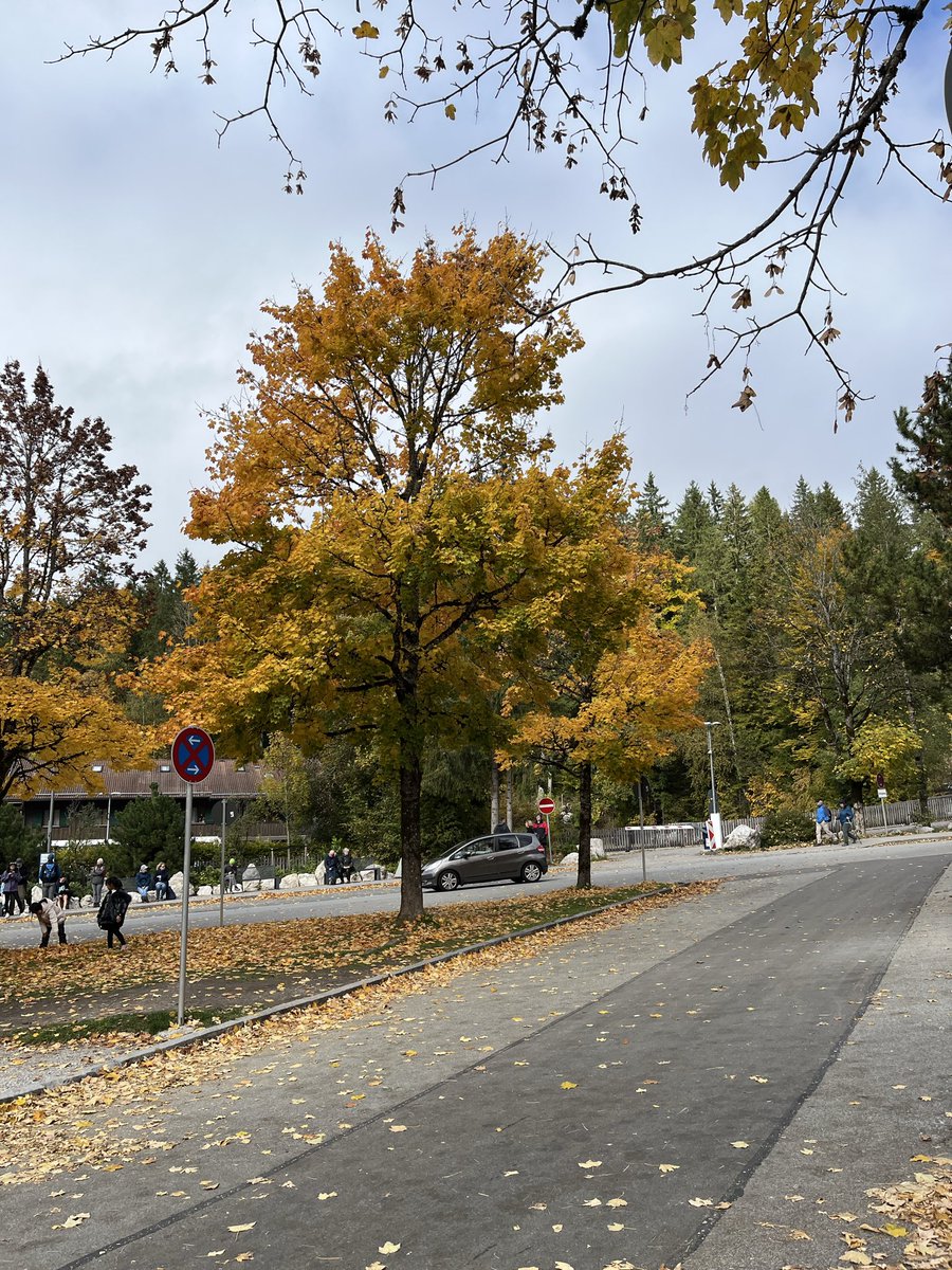 developer_oz's tweet image. پادشاه فصل ها پاییز