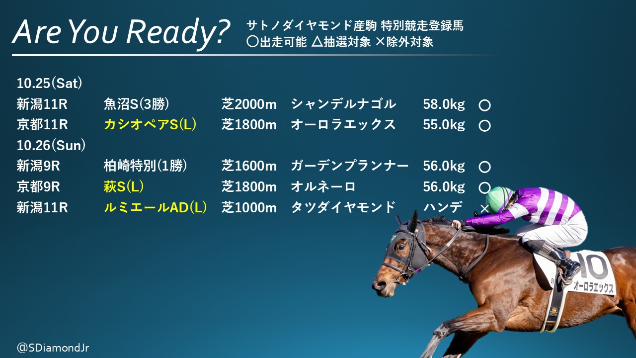 サトノダイヤモンド 新馬戦〜天皇賞・春 ２歳から４歳国内全１０戦現地単勝馬券 藤原サトノダイヤモンド 新馬戦〜天皇賞・春2歳から4歳国内