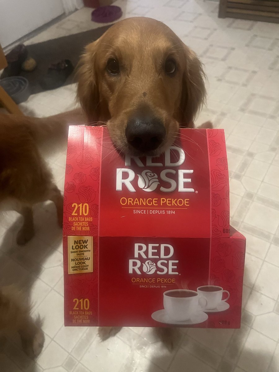 THANK YOU THIS IS SO KIND ILY ❤️❤️❤️❤️❤️❤️ that makes me genuinely so emo. Here is Porto with a box of my favourite tea as a symbol of my love