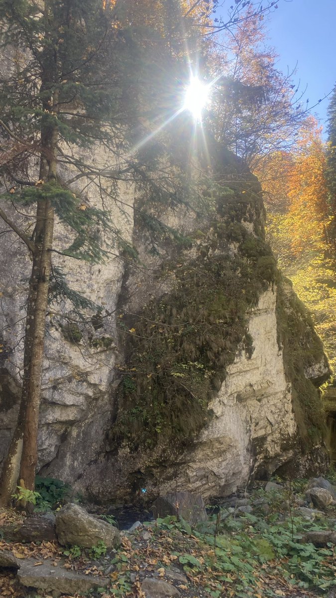 B2BStrategy2's tweet image. Deeper immersion in a #virtualworld 🇪🇺 🇷🇴 developed within a real world 💪 #Tartaros, the fallen angel 🦇 ancestor of #Dracula ✟ europegenesys.com/dracula-revolu… ☥ youtu.be/YuxnhwQ-Tz8 ✟ europegenesys.com/the-titans-war ☥ europegenesys.com/ingerii-decazu… ✟ #AI #xAI #AiGames #Gaming #NFT #P2E @grok