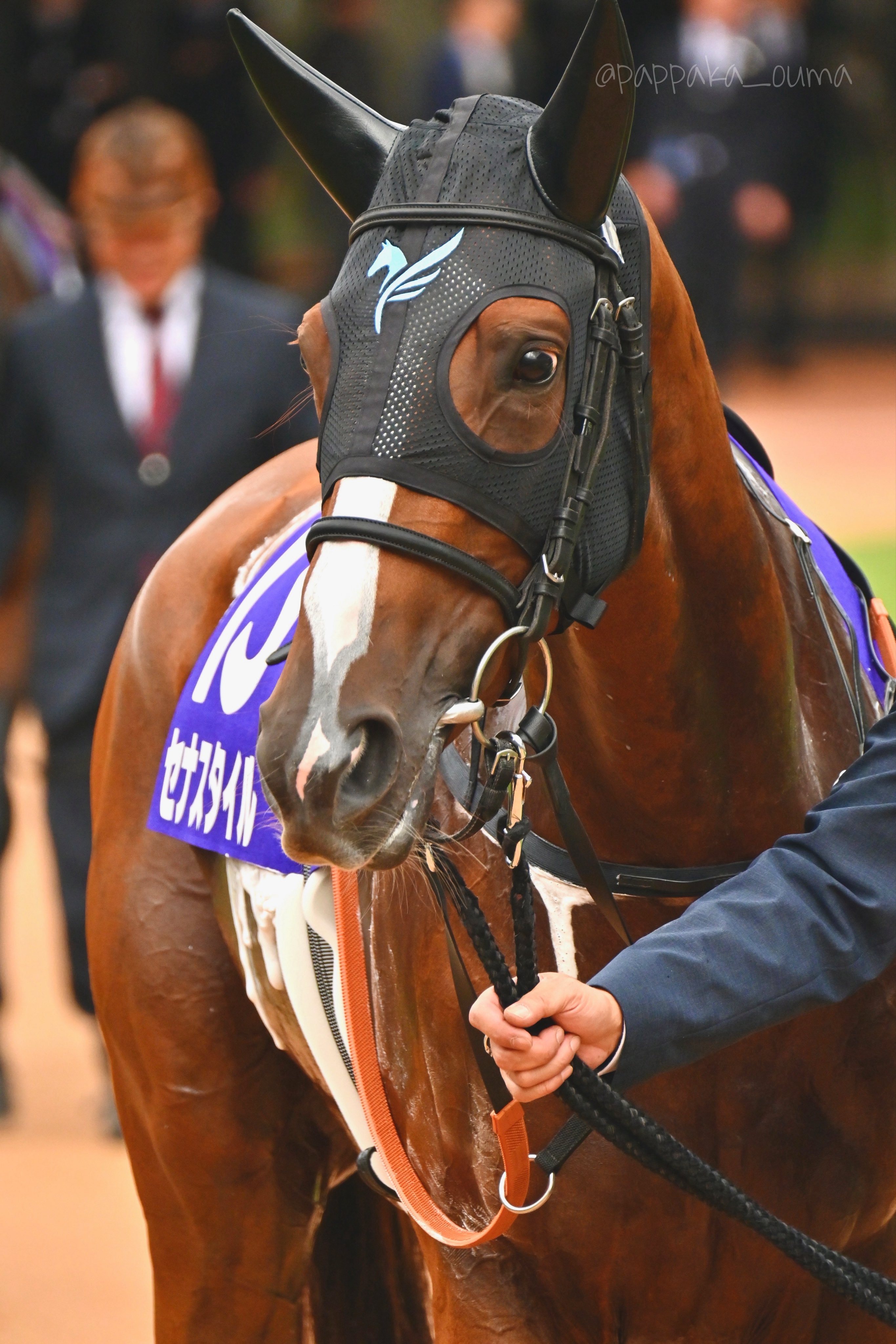 はるうま うまピヨ on X: 