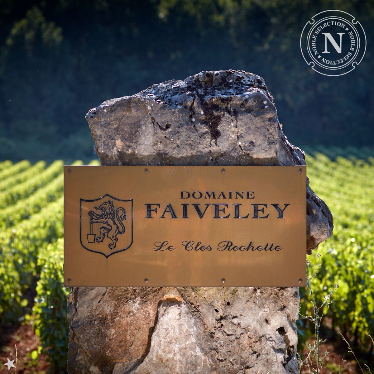 Mercurey Clos Rochette Monopole du @domainefaiveley en prévente à <a href="/LaSAQ_officiel/">lasaq_officiel</a> !
Située près du climat de La Framboisière, cette parcelle exclusive du domaine, acquise en 1933, s’étend sur un peu plus de cinq hectares exposés plein sud-est.
Dispo ici ⟶ saq.com/fr/15506688