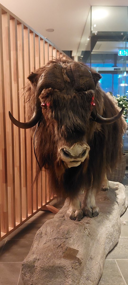 Rebecca Janicker tweet media